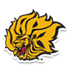 马歇尔大学